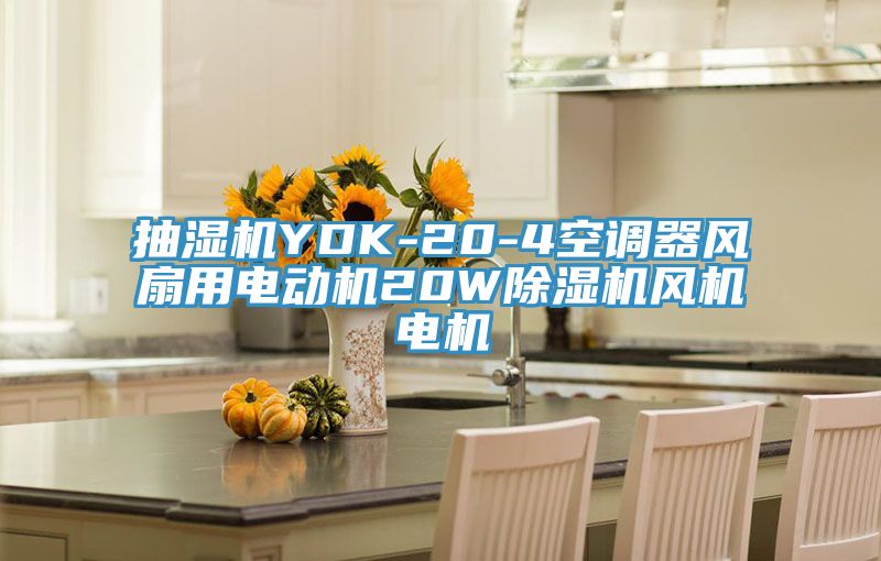 抽濕機(jī)YDK-20-4空調(diào)器風(fēng)扇用電動機(jī)20W除濕機(jī)風(fēng)機(jī)電機(jī)