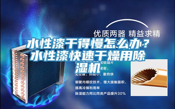 水性漆干得慢怎么辦？水性漆快速干燥用除濕機
