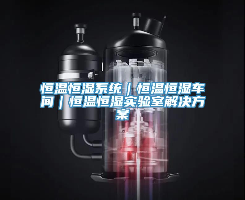恒溫恒濕系統(tǒng)｜恒溫恒濕車間｜恒溫恒濕實(shí)驗(yàn)室解決方案