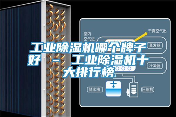 工業除濕機哪個牌子好 – 工業除濕機十大排行榜