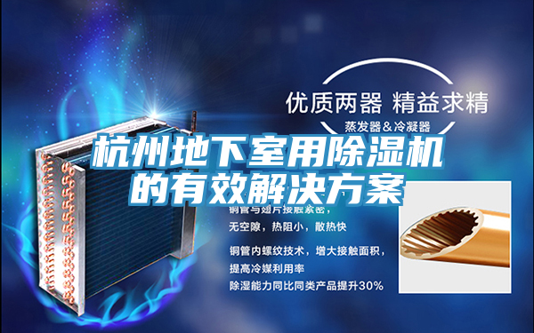 杭州地下室用除濕機(jī)的有效解決方案
