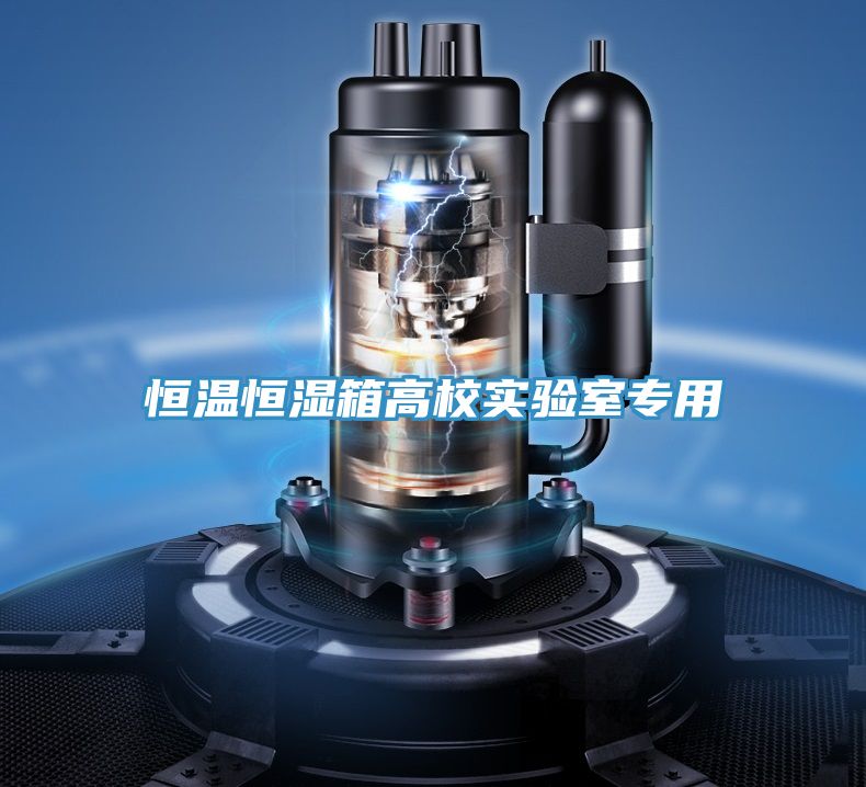 恒溫恒濕箱高校實(shí)驗(yàn)室專用