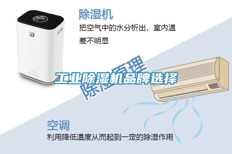 工業除濕機品牌選擇