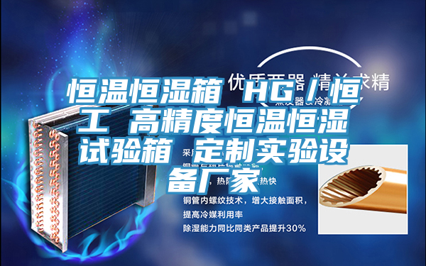 恒溫恒濕箱 HG／恒工 高精度恒溫恒濕試驗箱 定制實驗設備廠家