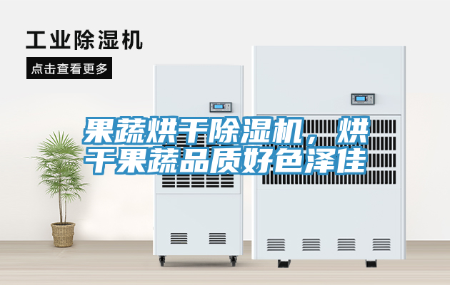果蔬烘干除濕機，烘干果蔬品質好色澤佳