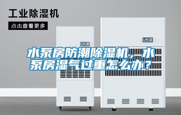 水泵房防潮除濕機(jī)，水泵房濕氣過重怎么辦？