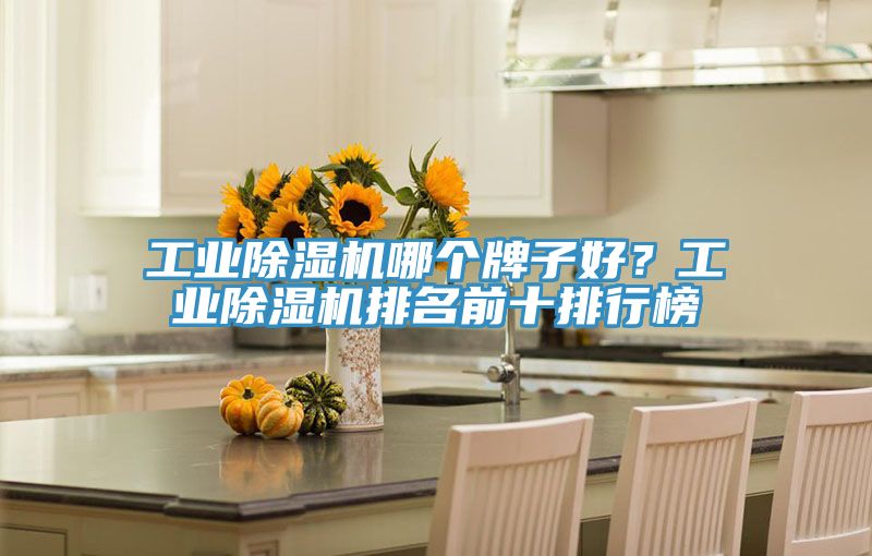 工業(yè)除濕機哪個牌子好？工業(yè)除濕機排名前十排行榜