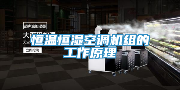 恒溫恒濕空調機組的工作原理