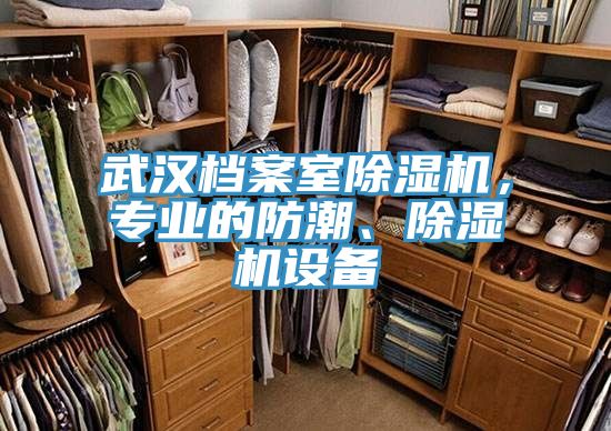 武漢檔案室除濕機，專業的防潮、除濕機設備