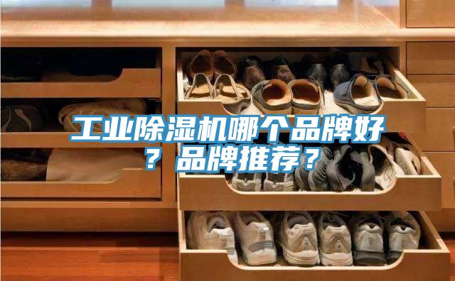 工業除濕機哪個品牌好?品牌推薦?
