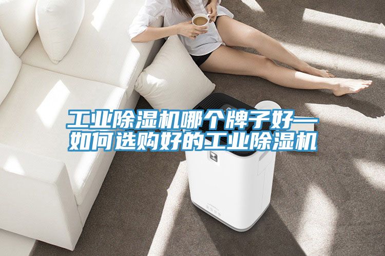 工業除濕機哪個牌子好—如何選購好的工業除濕機