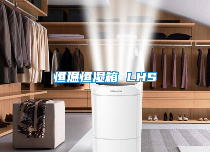 恒溫恒濕箱 LHS