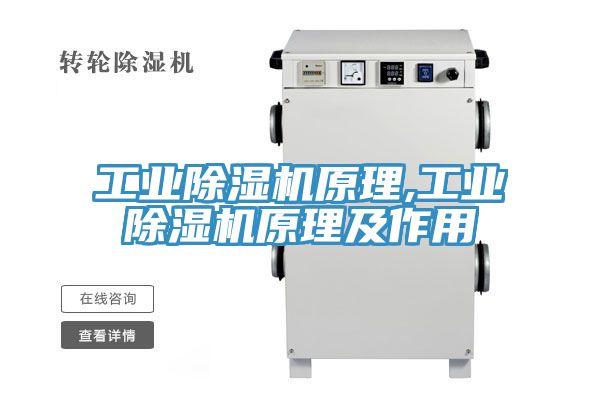 工業(yè)除濕機原理,工業(yè)除濕機原理及作用