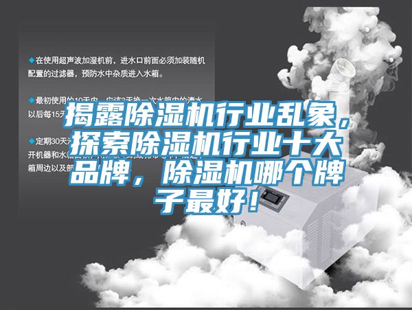 揭露除濕機行業亂象，探索除濕機行業十大品牌，除濕機哪個牌子最好！