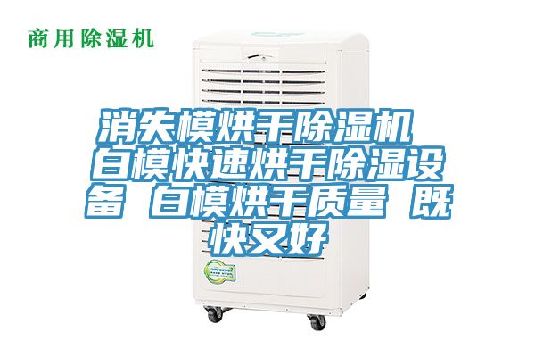 消失模烘干除濕機 白模快速烘干除濕設備 白模烘干質量 既快又好