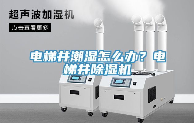 電梯井潮濕怎么辦?電梯井除濕機