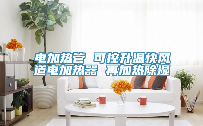 電加熱管 可控升溫快風道電加熱器 再加熱除濕
