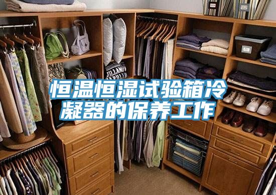 恒溫恒濕試驗箱冷凝器的保養工作