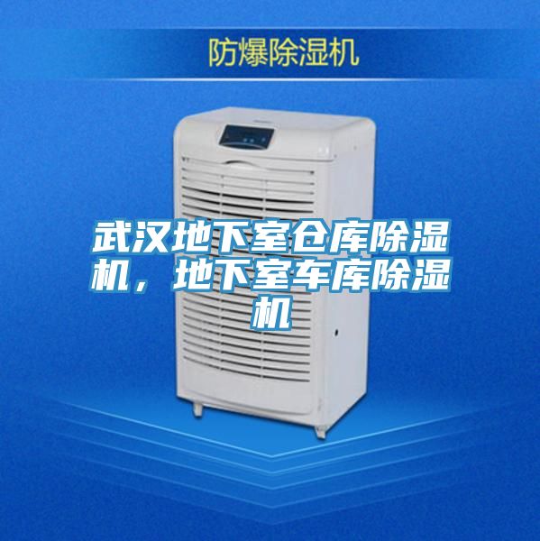 武漢地下室倉庫除濕機，地下室車庫除濕機