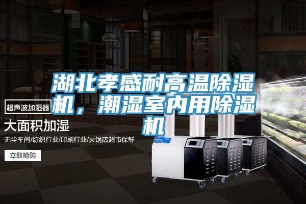 湖北孝感耐高溫除濕機(jī),潮濕室內(nèi)用除濕機(jī)