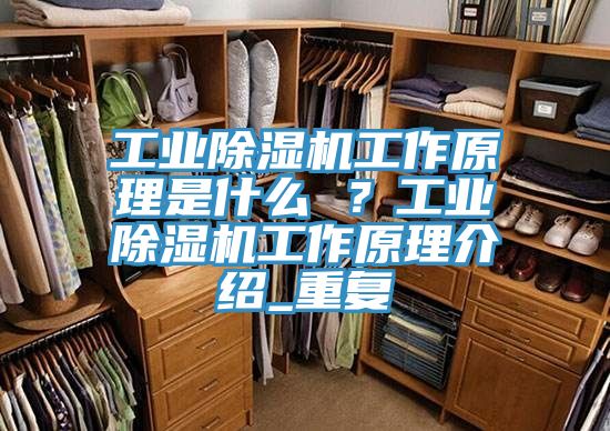 工業除濕機工作原理是什么 ?工業除濕機工作原理介紹_重復