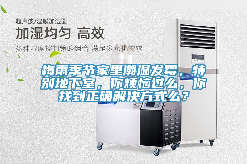 梅雨季節(jié)家里潮濕發(fā)霉，特別地下室，你煩惱過么，你找到正確解決方式么？