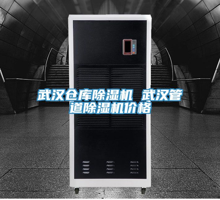 武漢倉庫除濕機 武漢管道除濕機價格