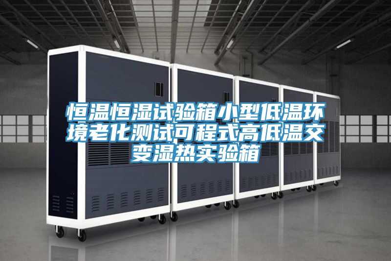 恒溫恒濕試驗箱小型低溫環境老化測試可程式高低溫交變濕熱實驗箱