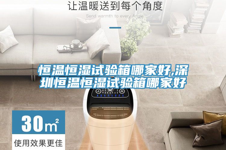 恒溫恒濕試驗(yàn)箱哪家好,深圳恒溫恒濕試驗(yàn)箱哪家好