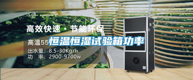恒溫恒濕試驗箱功率
