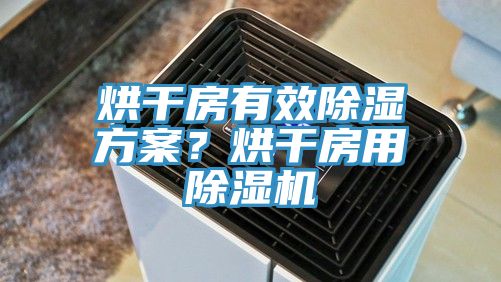 烘干房有效除濕方案？烘干房用除濕機