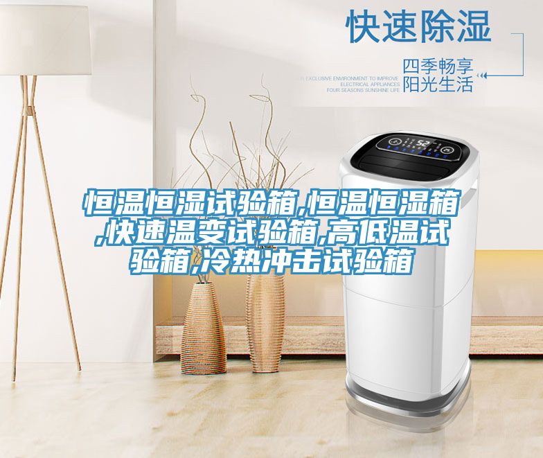 恒溫恒濕試驗箱,恒溫恒濕箱,快速溫變試驗箱,高低溫試驗箱,冷熱沖擊試驗箱