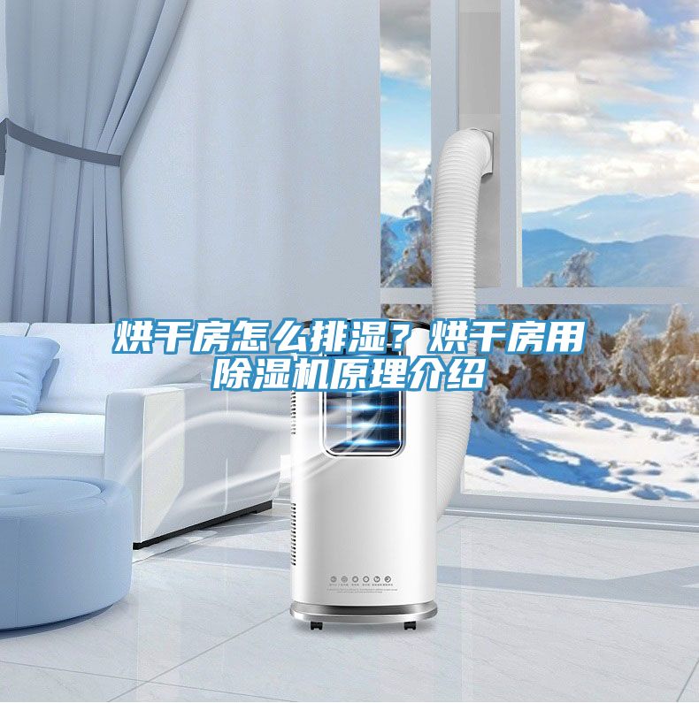 烘干房怎么排濕？烘干房用除濕機原理介紹