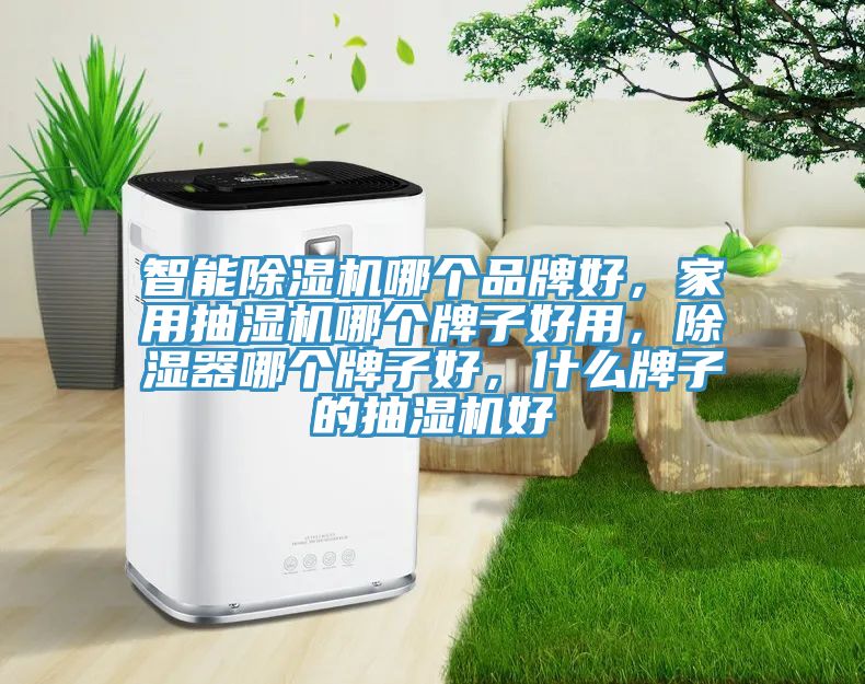 智能除濕機哪個品牌好，家用抽濕機哪個牌子好用，除濕器哪個牌子好，什么牌子的抽濕機好
