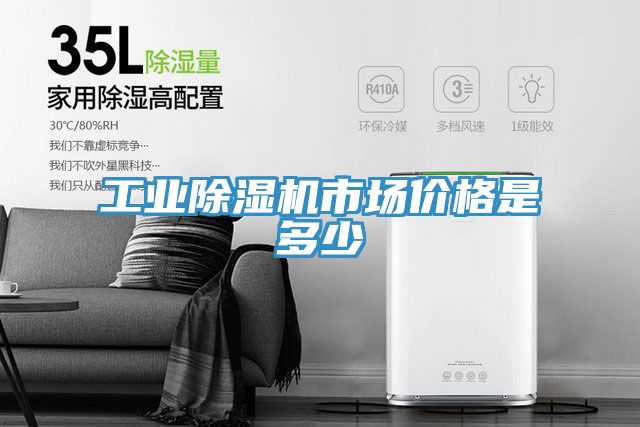 工業除濕機市場價格是多少