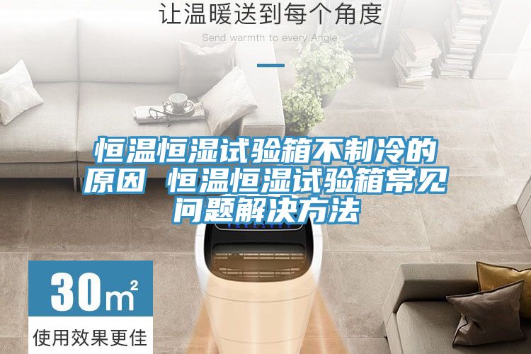 恒溫恒濕試驗箱不制冷的原因 恒溫恒濕試驗箱常見問題解決方法