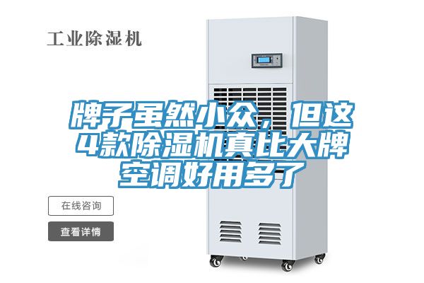 牌子雖然小眾，但這4款除濕機(jī)真比大牌空調(diào)好用多了