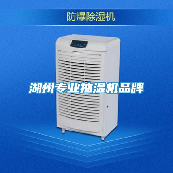 湖州專業抽濕機品牌
