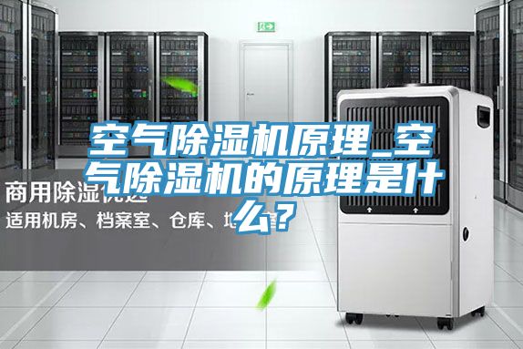 空氣除濕機(jī)原理_空氣除濕機(jī)的原理是什么？