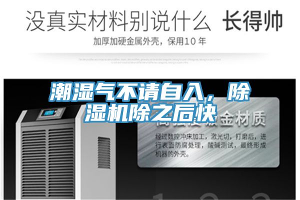 潮濕氣不請自入，除濕機除之后快
