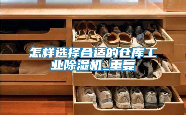 怎樣選擇合適的倉(cāng)庫工業(yè)除濕機(jī)_重復(fù)