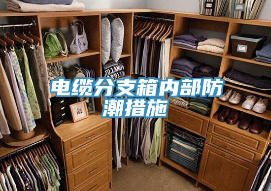 電纜分支箱內部防潮措施