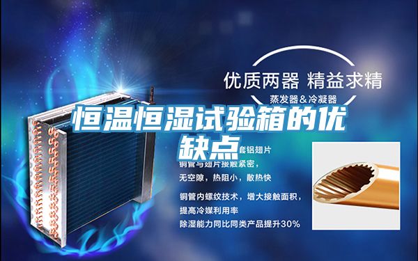 恒溫恒濕試驗箱的優缺點