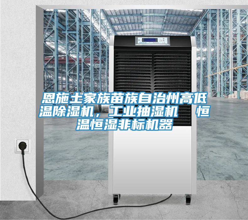恩施土家族苗族自治州高低溫除濕機，工業抽濕機  恒溫恒濕非標機器