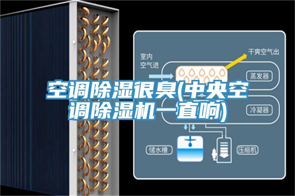 空調(diào)除濕很臭(中央空調(diào)除濕機一直響)