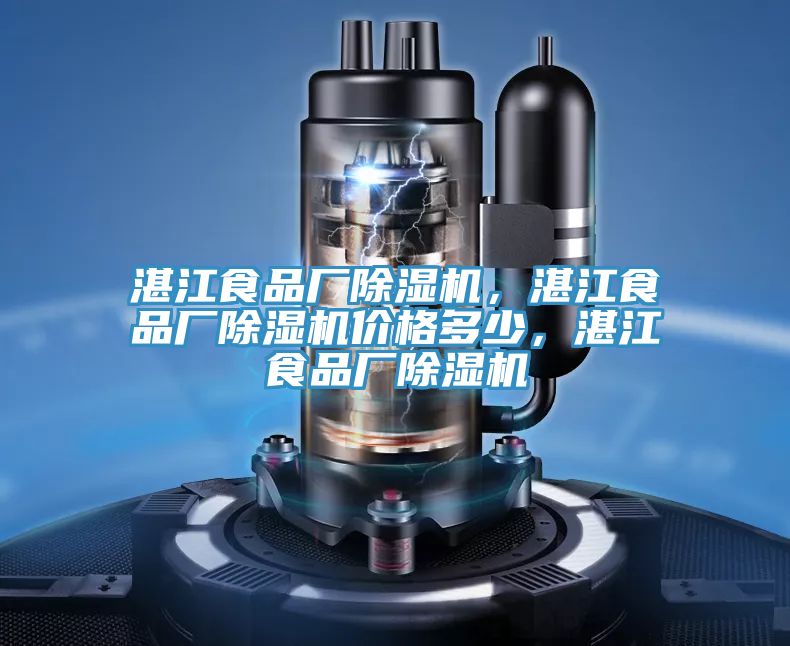 湛江食品廠除濕機，湛江食品廠除濕機價格多少，湛江食品廠除濕機