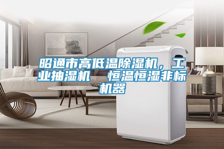昭通市高低溫除濕機，工業抽濕機  恒溫恒濕非標機器