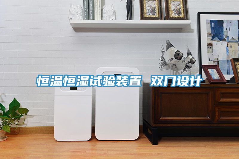 恒溫恒濕試驗裝置 雙門設(shè)計