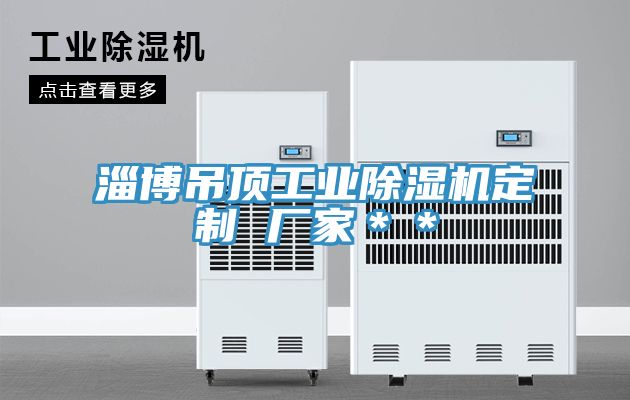 淄博吊頂工業除濕機定制 廠家＊＊