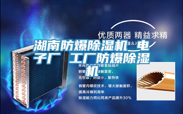 湖南防爆除濕機 電子廠 工廠防爆除濕機